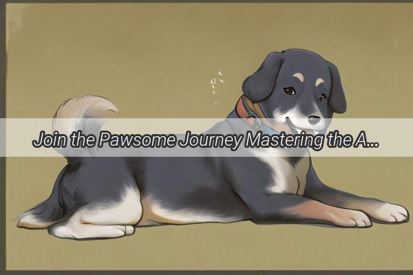 Join the Pawsome Journey Mastering the Art of Running with Your Canine Companion